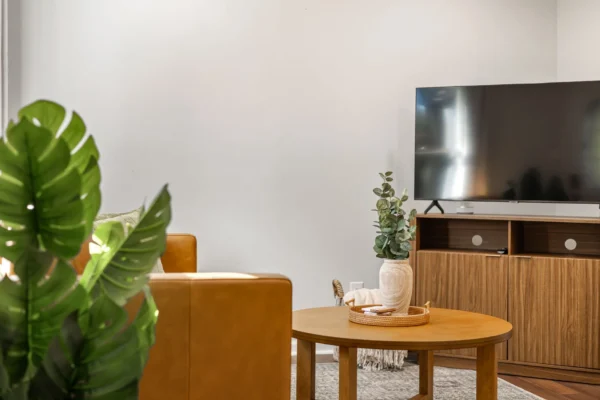 RapidMeasurement Article 60in Tv
