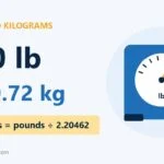 200 Lbs To Kg Conversion: 200 Lb = 90.72 Kg 200 Lbs To Kg Conversion: 200 Lb = 90.72 Kg