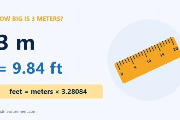 how big is 3 meters: 3 m = 9.84 ft